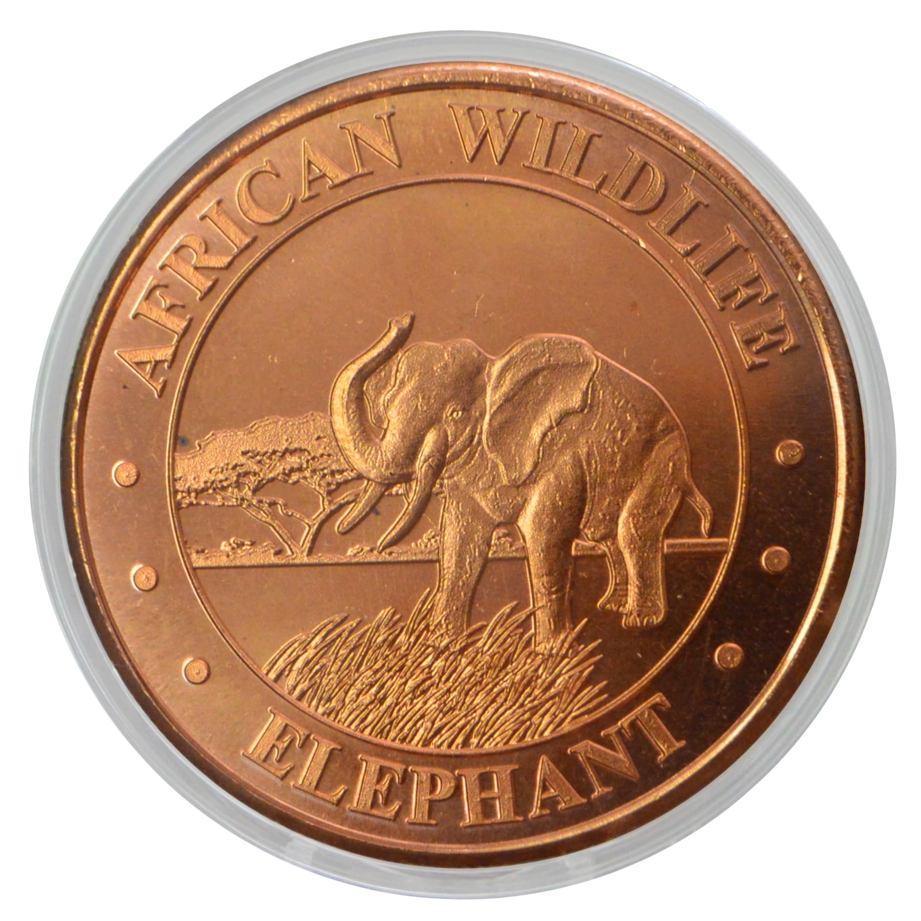 アクセサリー YON Nature Coin African Elephant 00632 LCOIN1S_K10YG_01_3000x_63832a7